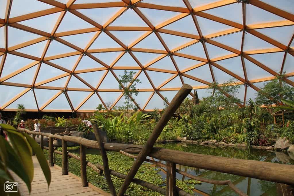 Houten koepel met glas in het dak en veel planten, water en een loopbrug