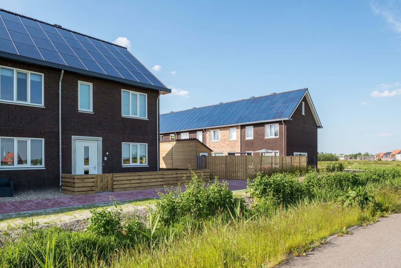 Huizen met houten schuttingen en schuurtjes met veel gras en planten.