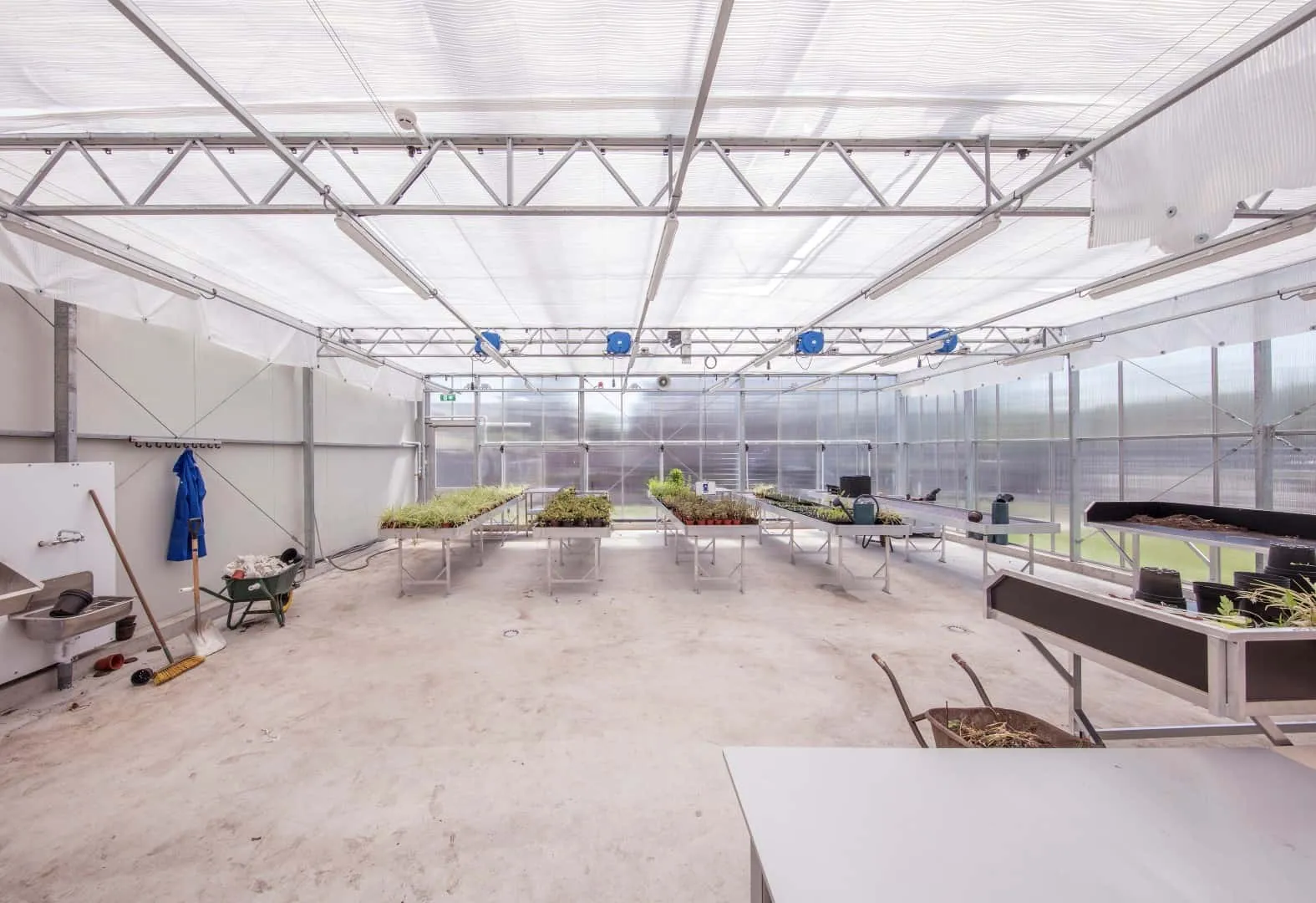 De kas van het Wellantcollege met bakken met planten